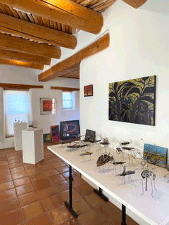 Gallery Page Coleman studio view